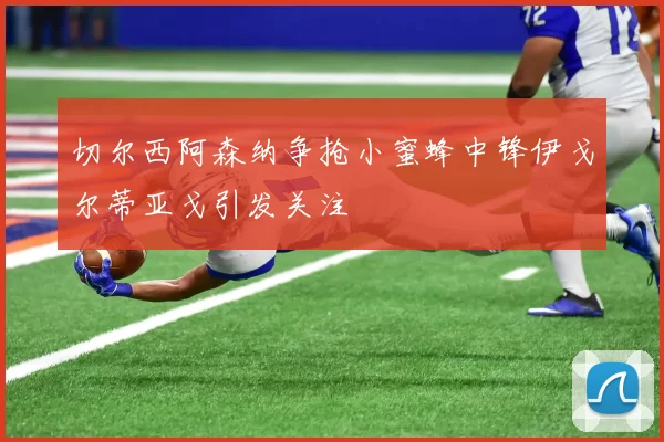 切尔西阿森纳争抢小蜜蜂中锋伊戈尔蒂亚戈引发关注