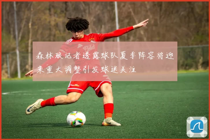 森林狼记者透露球队夏季阵容将迎来重大调整引发球迷关注